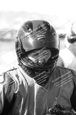 media/Mar-08-2025-TrackXperience (Sat) [[277b597a28]]/1-Around the Pits - Pre Grid/